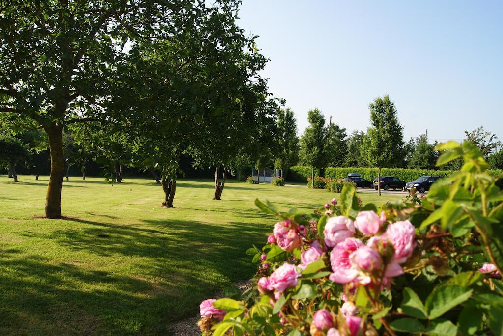 Manoir De La Pataudiere B&B Villers-Canivet Zewnętrze zdjęcie